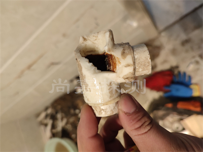 熊口管理区自来水管道漏水检测