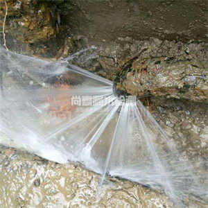 熊口管理区消防管道漏水检测